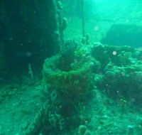 Wallaroo Scuba Club - Pubs Perth