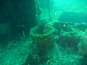 Wallaroo Scuba Club - Pubs Perth 0