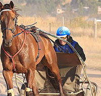Ballarat  District Trotting Club - Pubs Perth