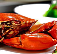 Newquay International Buffet - Pubs Perth