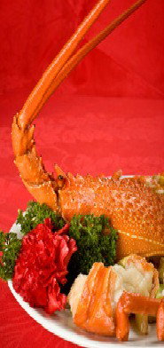 Marigold - Pubs Perth 0