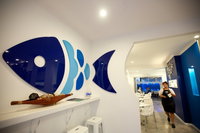 Fish Roe Gourmet Fish  Chippery