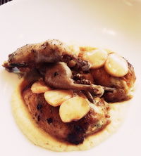 Book Terrey Hills Accommodation Vacations Pubs Perth Pubs Perth