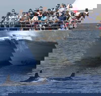 MoonshadowTQC Cruises - Pubs Perth