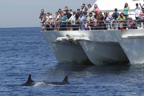 Moonshadow–TQC Cruises - Pubs Perth 0