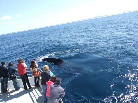 Moonshadow–TQC Cruises - Pubs Perth 1