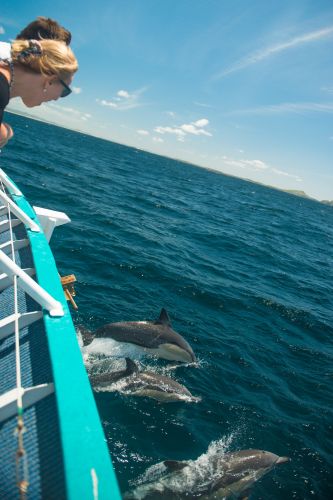 Moonshadow–TQC Cruises - Pubs Perth 3