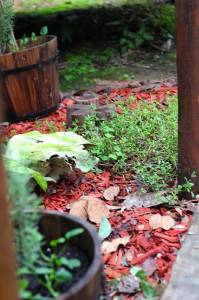 Herveys Range Heritage Tea Rooms - Pubs Perth 1