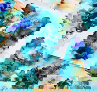 Alcohol Ink Art Class - Pubs Perth