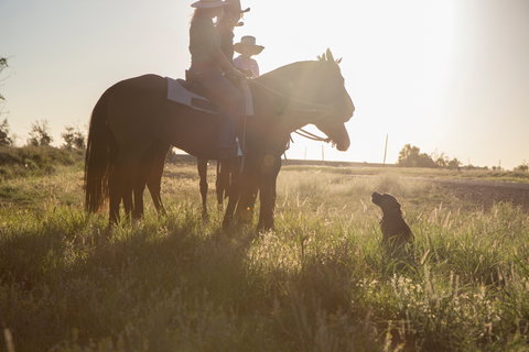 Balonne Cutting Horse Futurity - Pubs Perth 0