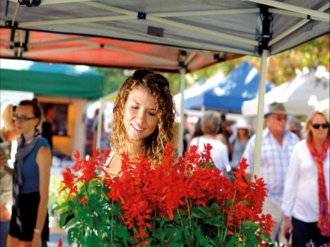 Ballina Missingham Farmers Market - Pubs Perth 0