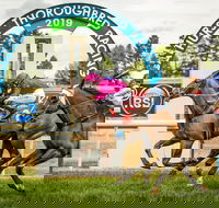 Bathurst Cup - Pubs Perth