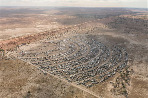 Birdsville Big Red Bash - Pubs Perth 1