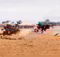 Birdsville Campdraft  Rodeo and Bronco Branding - Pubs Perth