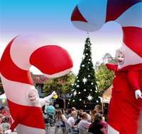 Blacktown Christmas Light Up Concert - Pubs Perth