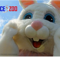 Easter Egg-stravaganza - Pubs Perth