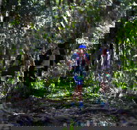 Elephant Trail Race - Pubs Perth