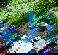 Family Fun Carnivale - Pubs Perth