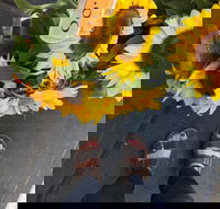 Friday Forage - Pubs Perth