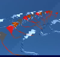 Harden Kite Festival - Pubs Perth