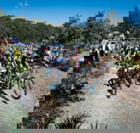 JetBlack Wild Wombat MTB Challenge - Pubs Perth