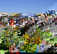 Maclean Community Monthly Markets - Pubs Perth