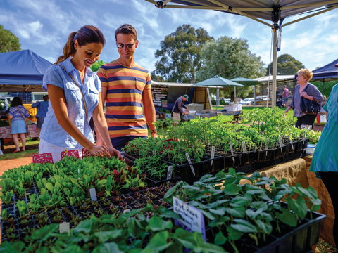 Margaret River Farmers Market - Pubs Perth 1