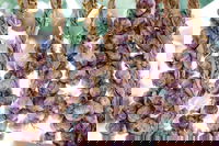 Meeniyan Garlic Festival