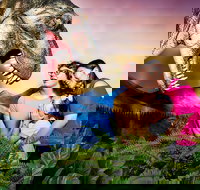 Meet the Dinosaurs at Scitech - Pubs Perth