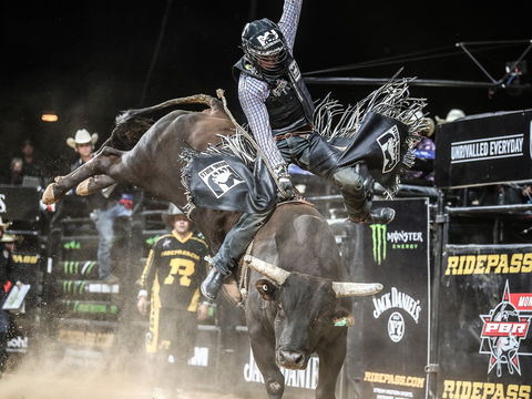 PBR Hawkesbury Stampede - Pubs Perth 0