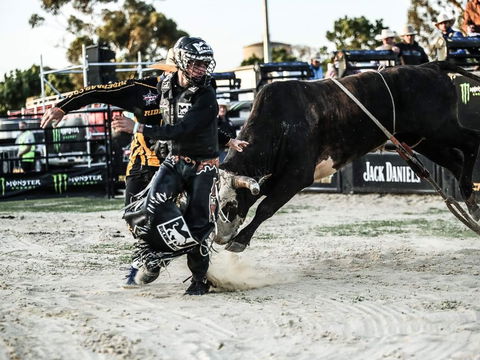 PBR Hawkesbury Stampede - Pubs Perth 2