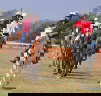 Pride of the West Races 2020 - Pubs Perth