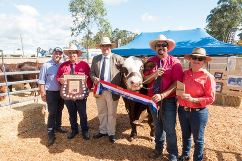 Primex Field Days - Pubs Perth 0