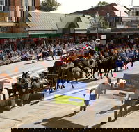 Scone Horse Festival - Pubs Perth