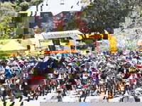 Snowies MTB Festival