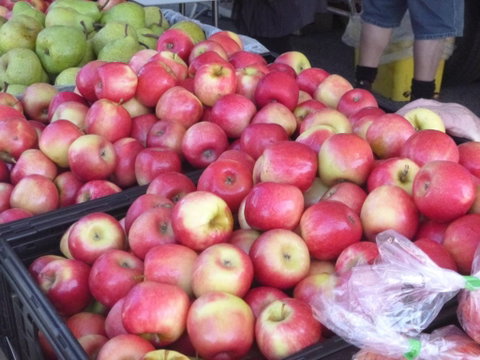 Stirling Farmers Market - Pubs Perth 2