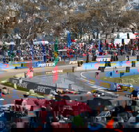 Supercars Supercheap Auto Bathurst 1000 - Pubs Perth