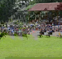 Tumut Derby Day - Pubs Perth
