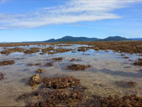 Walk to the Reef