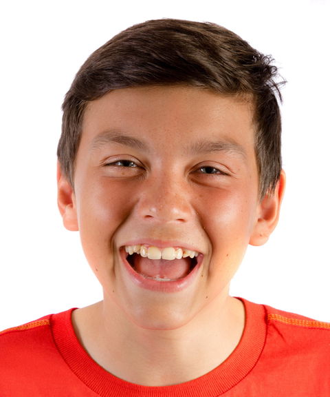 Willmot Festival - Pubs Perth 0