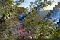 Wild Earth Coastal High 50