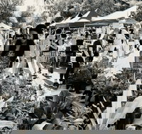 Yamba Farmers and Producers Market - Pubs Perth