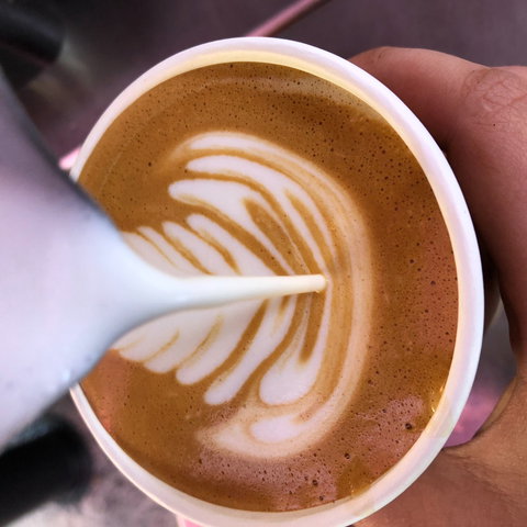 Yamba Farmers And Producers Market - Pubs Perth 2