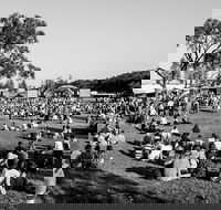 Yours and Owls Festival - Pubs Perth