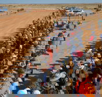 28th Marree Australasian CAMEL CUP 3 July 2021 - Pubs Perth