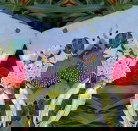 Acrylic Earring Workshop Native Florals - Pubs Perth