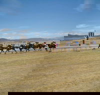 Adaminaby Cup Race Day - Pubs Perth
