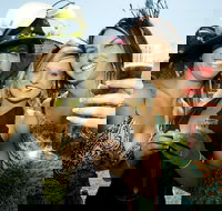 Albury Racing Club Boxing Day Races - Pubs Perth