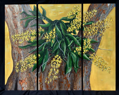 A Still Life - Solo Exhibition  Karen Sedaitis - Pubs Perth 1