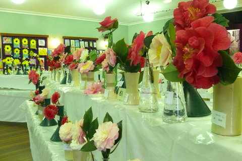 Blackheath Flower And Craft Show - Pubs Perth 1